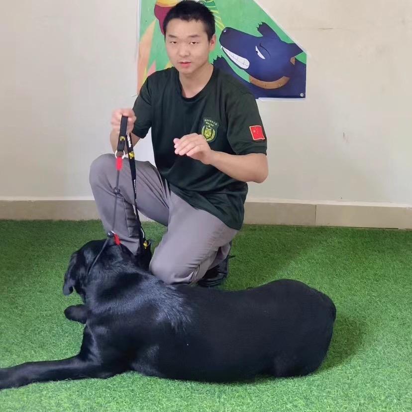 武汉训犬学校