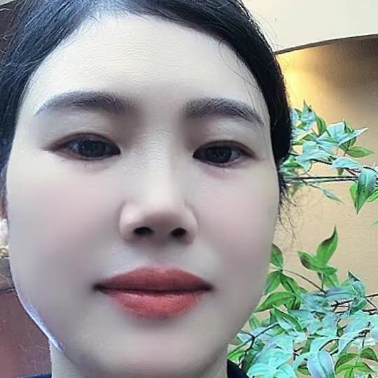 闪烁燕