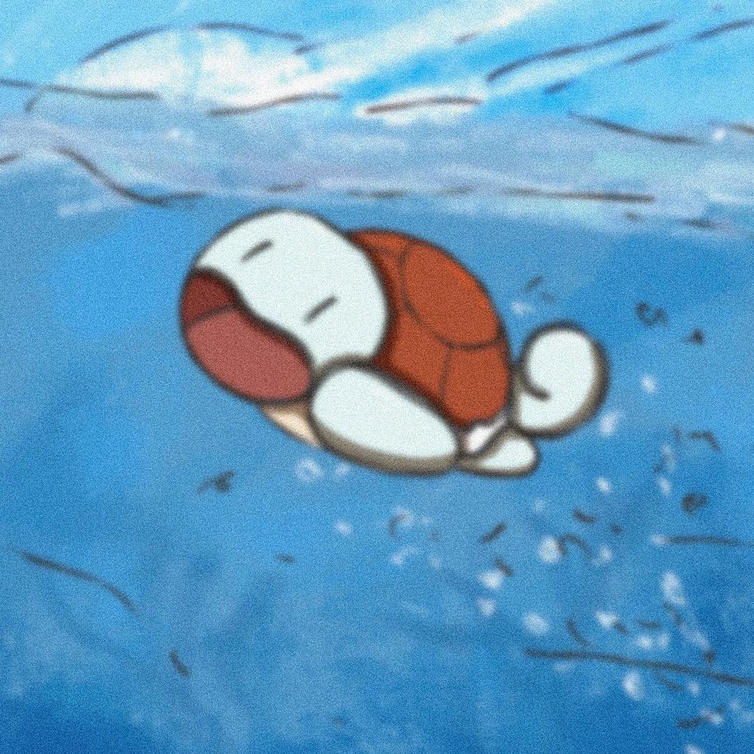 快乐的小乌龟。