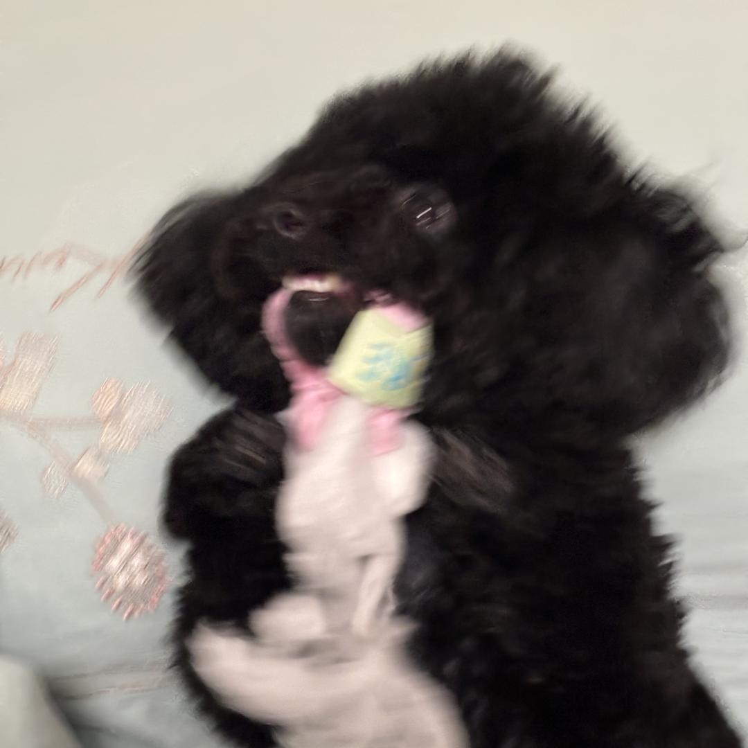 源头工厂——七黑马文化传媒