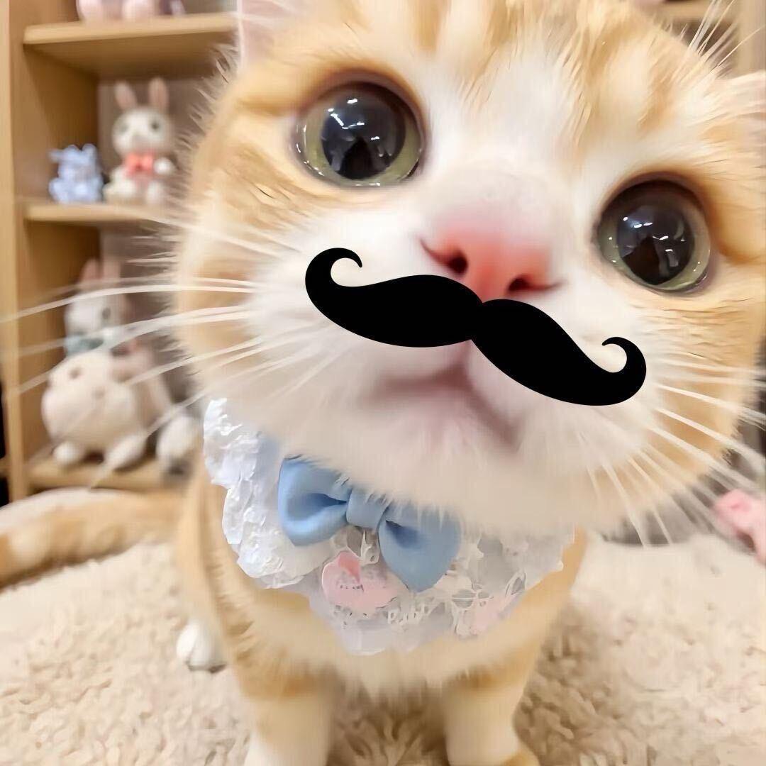 小呆呆