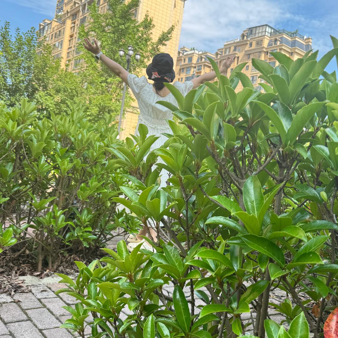 🌱豆芽♬