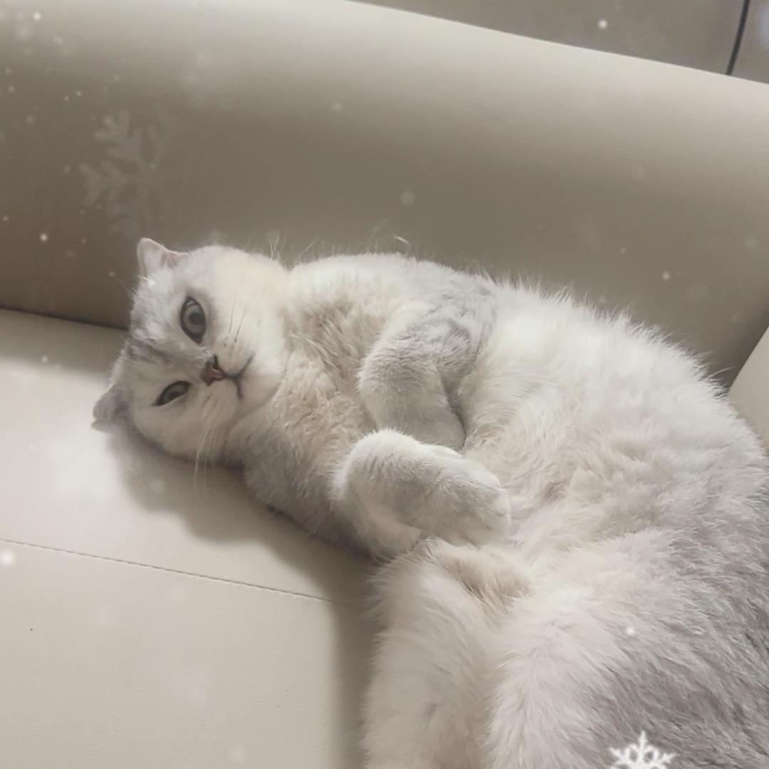 我要吃小包子