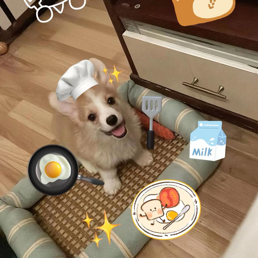 水果玉米排骨汤