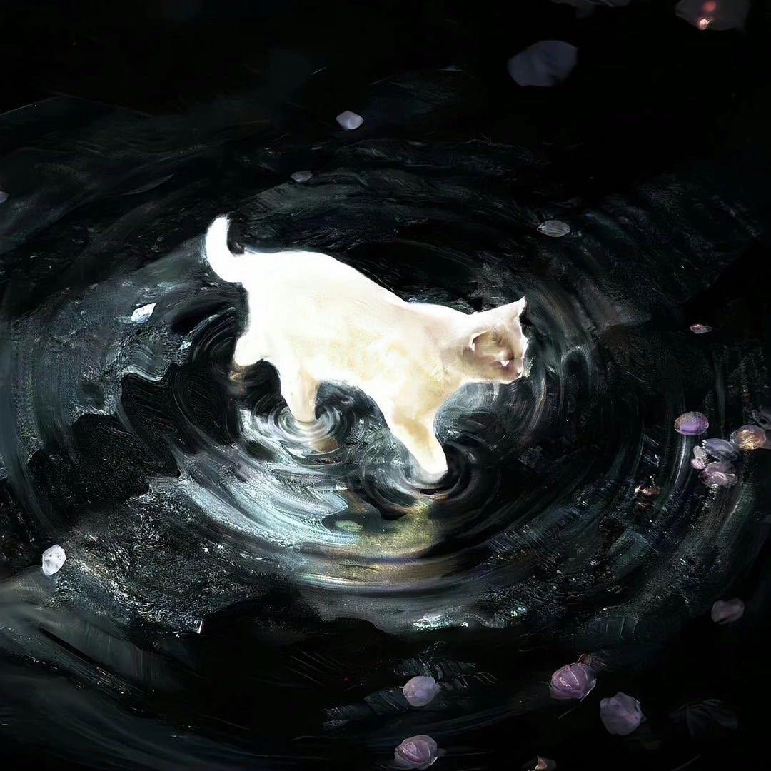 野生猪