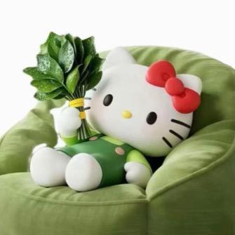 菲 菲.