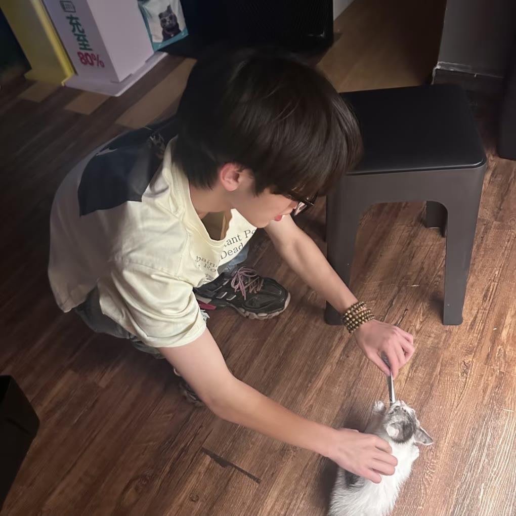 内向腼腆小男孩
