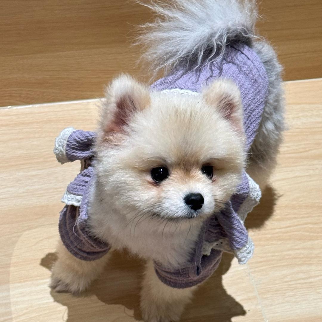 虾片