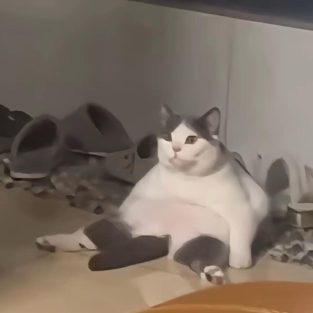 马马马