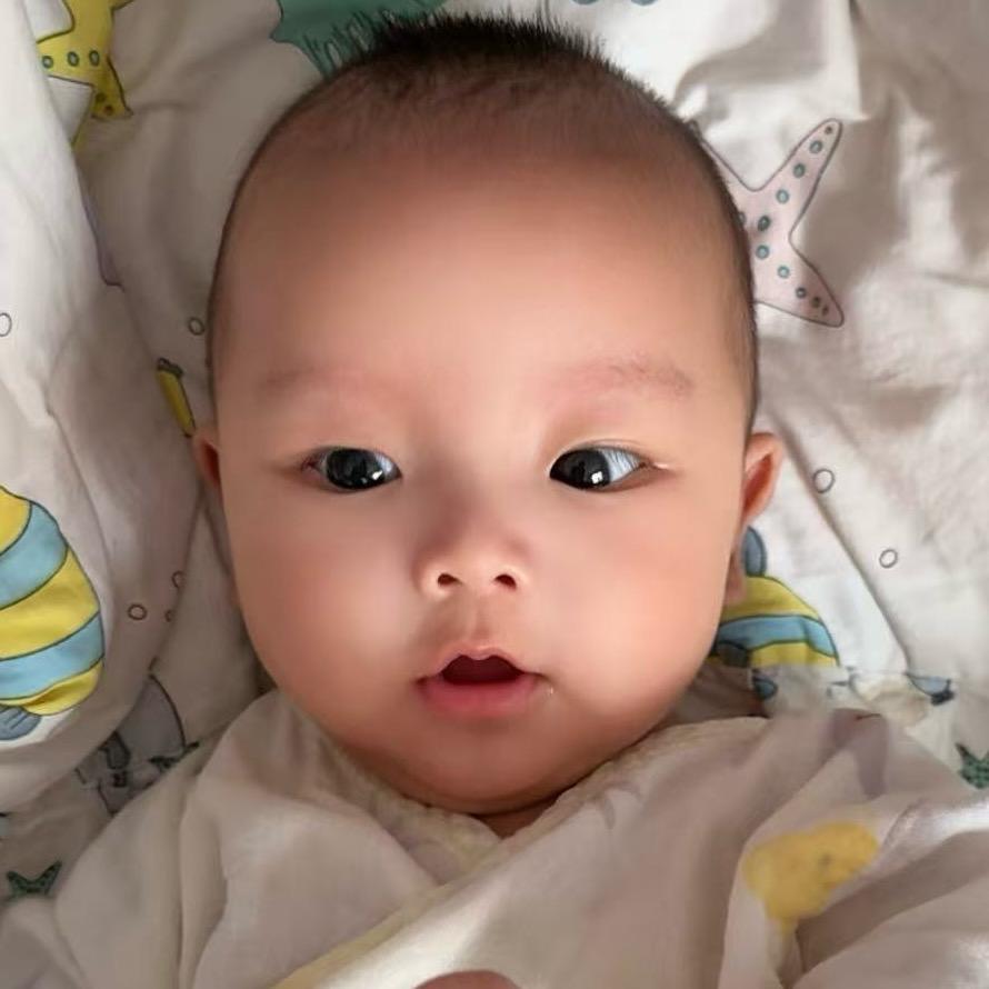小六子