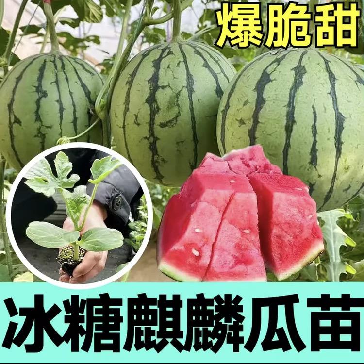 请百货店