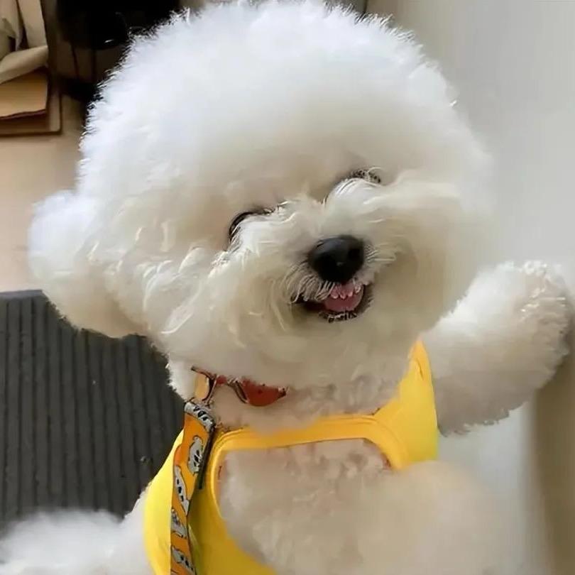 唯宠汇