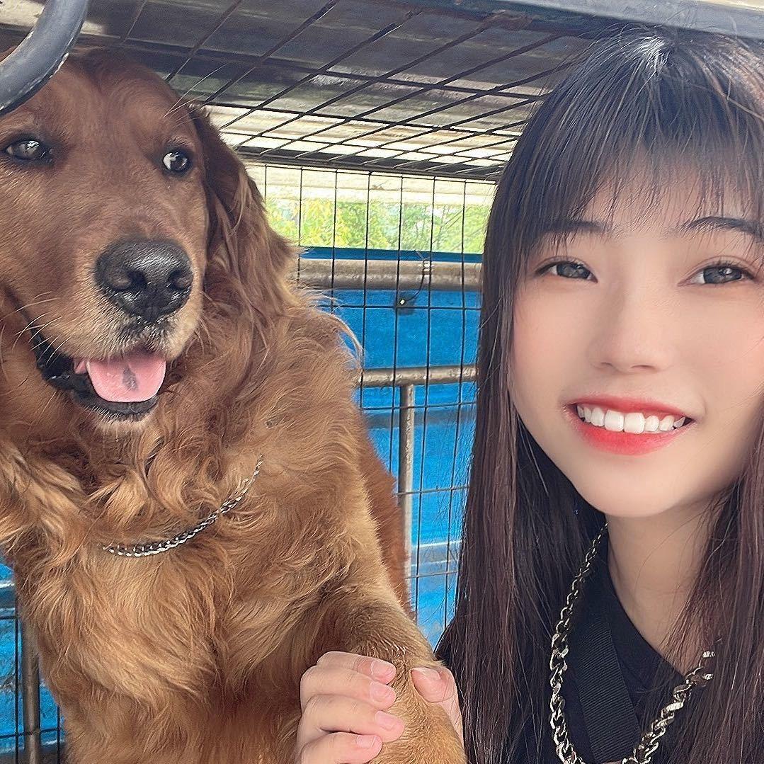 肖肖的自驾游记