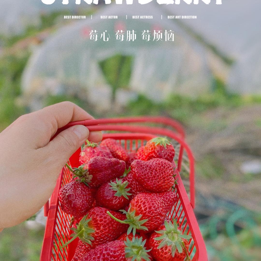夏日严严🌼