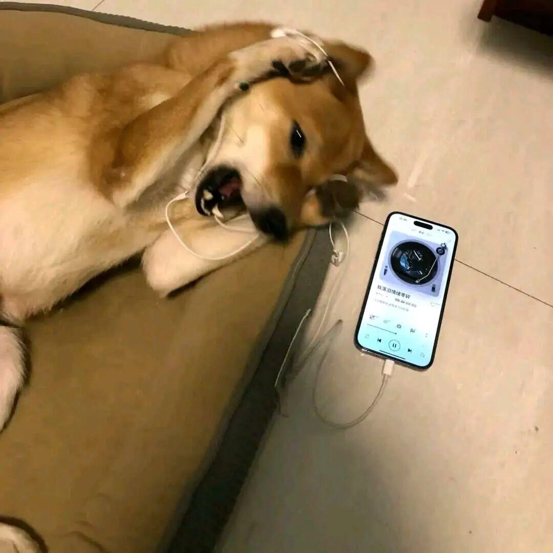 大碗猪蹄面