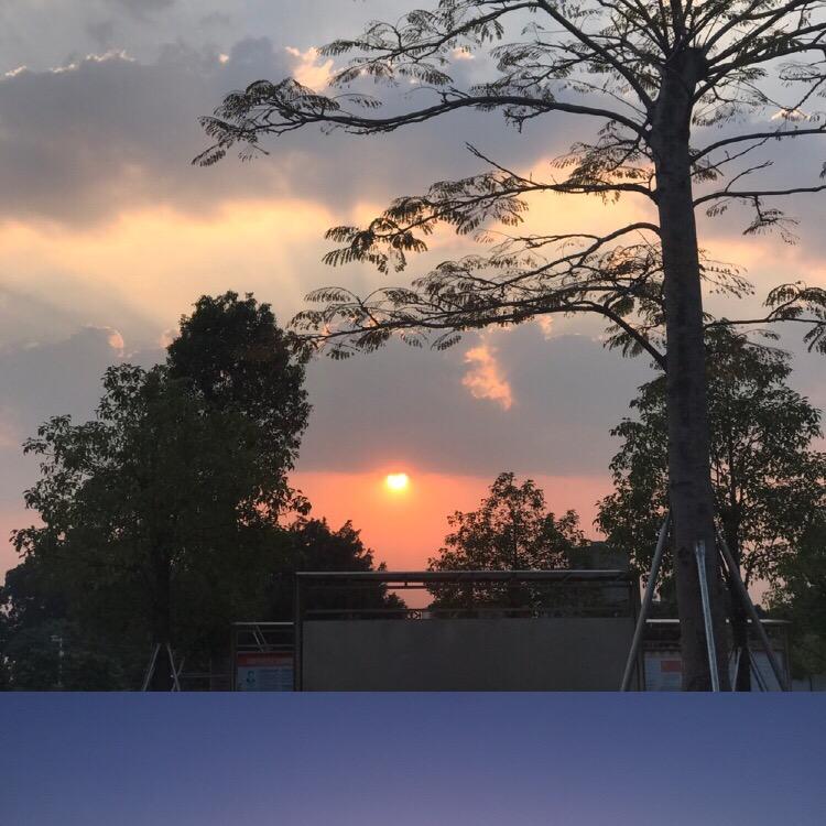 《蓝天》