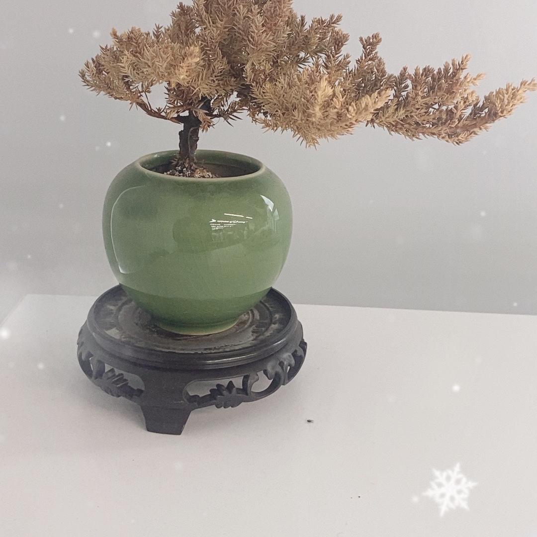 梓青生活百货