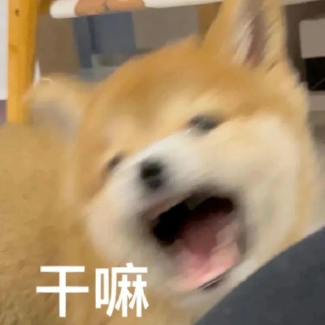 恭喜