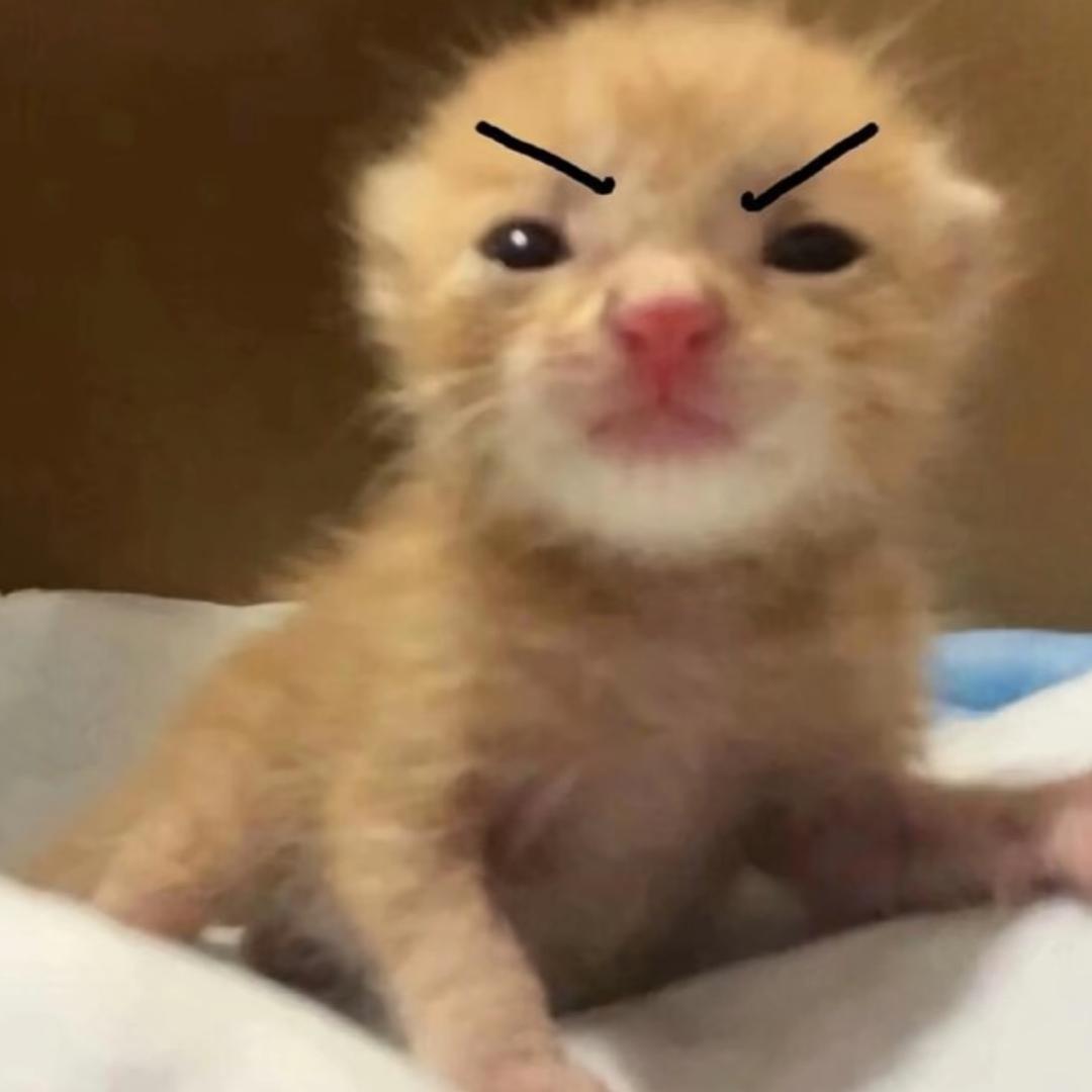 老实的湖南人