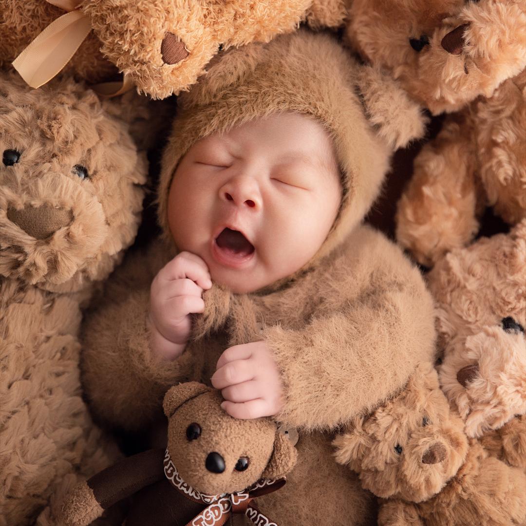 藏心（学习限定版）