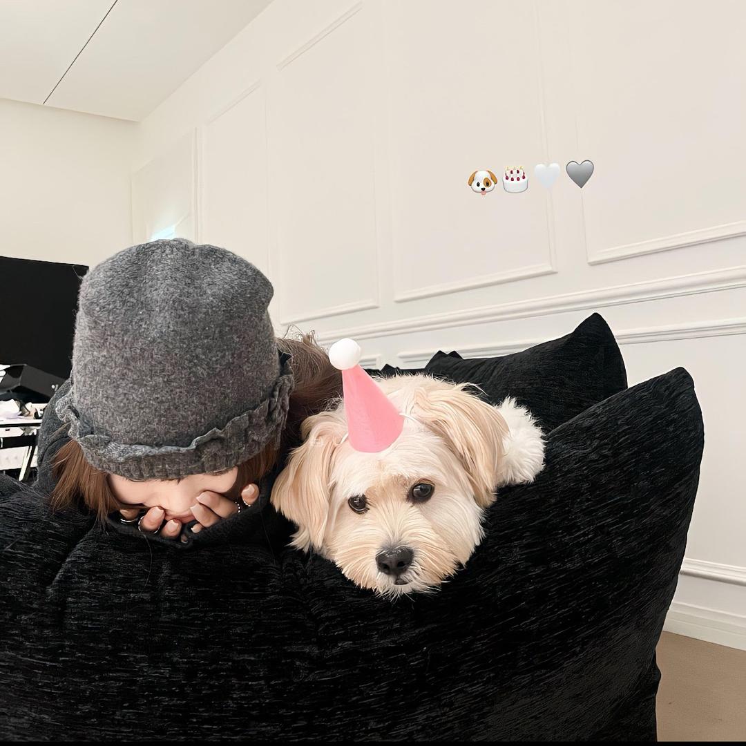 🧼黄油麻薯𓈒◌𓂂𓋜