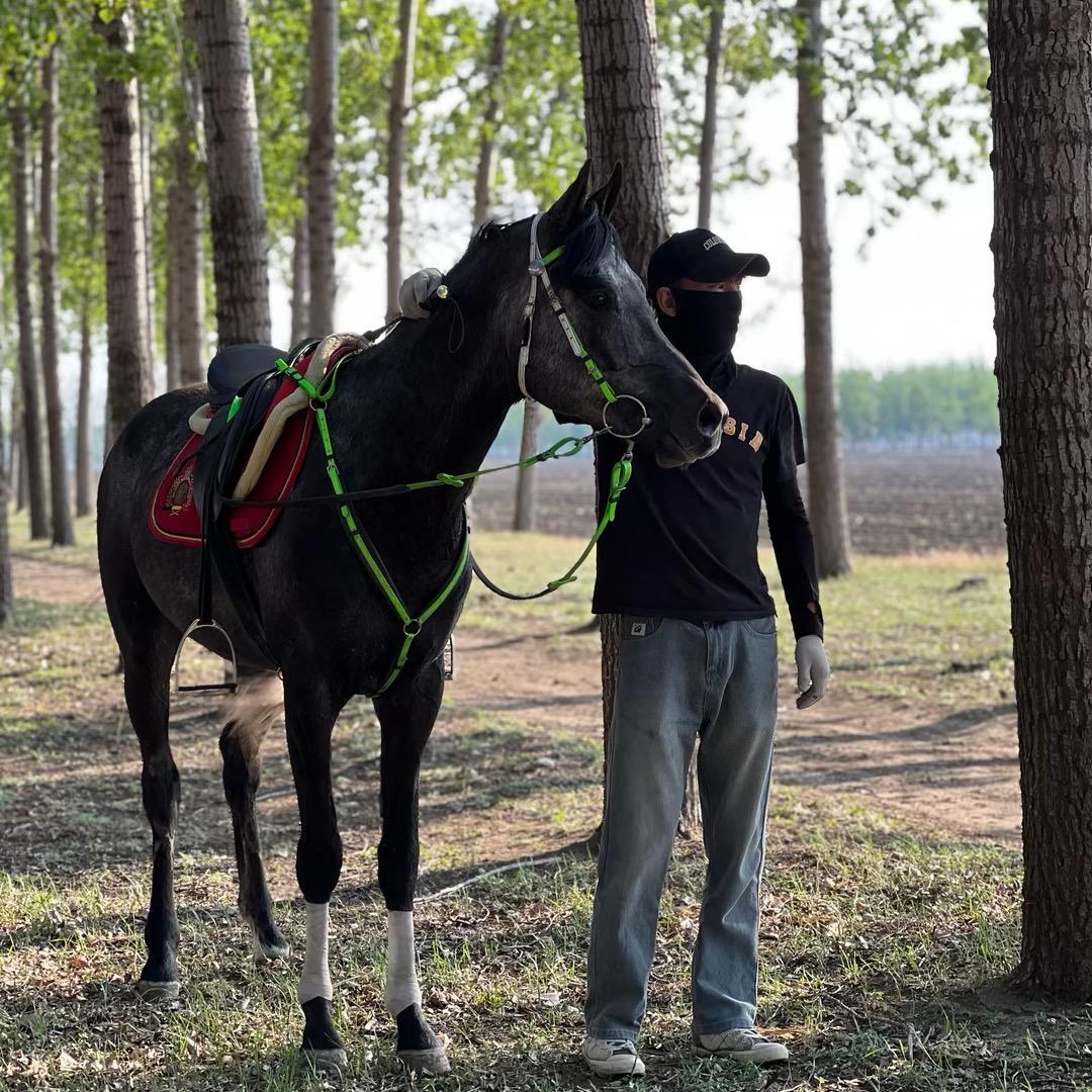 夏提 东升马业锦伦商贸官方账号