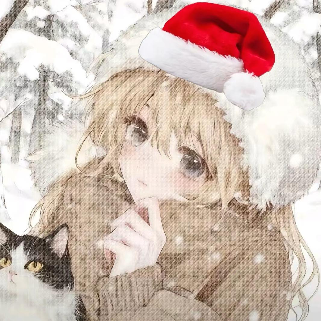 11是只猫