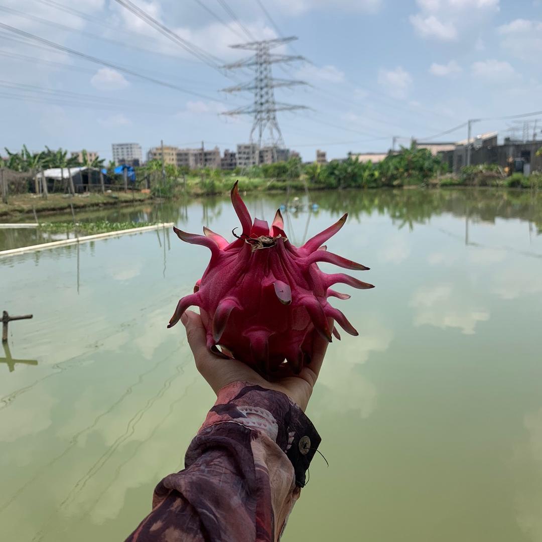 （百果庄园）休闲垂钓场