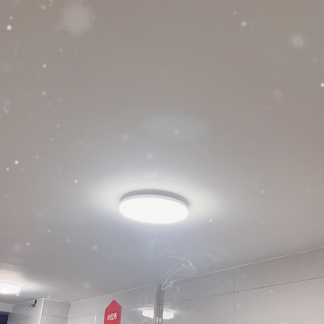 鸡翅粮贸