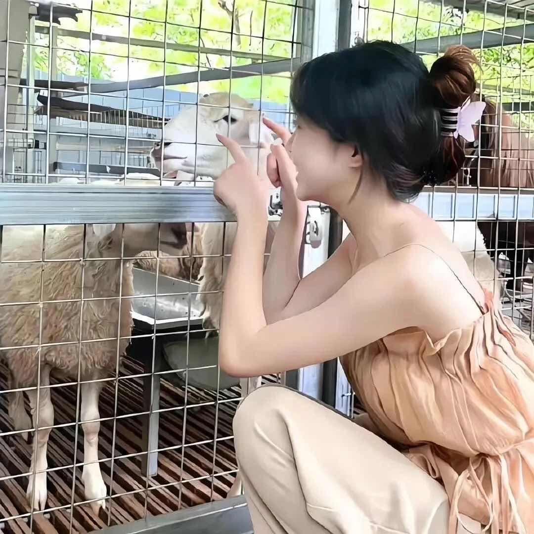 橙子味的酱汁耶