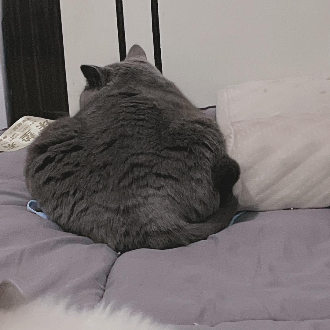 tired