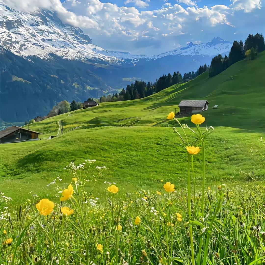 不会装修的克里斯