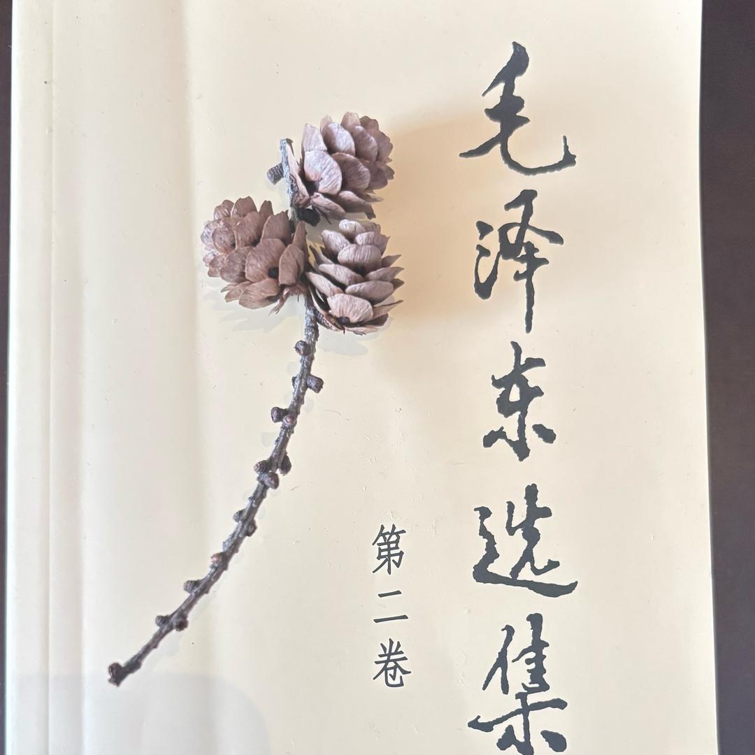 羽