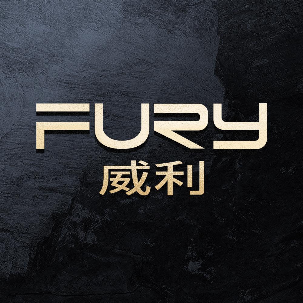 威利FURY台球用品授权店