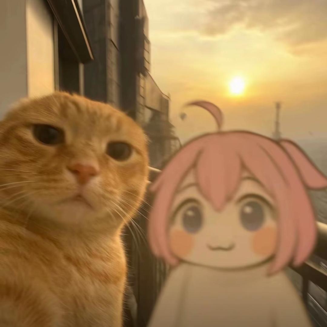 橘酱