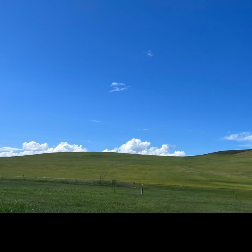 琪琪~蒙维力斯牧业
