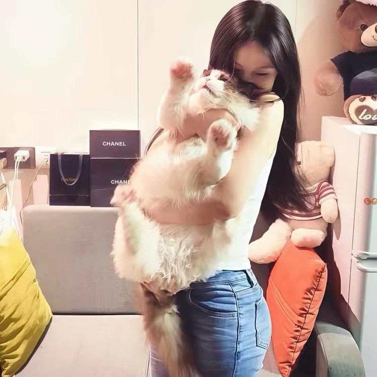 涵🤍