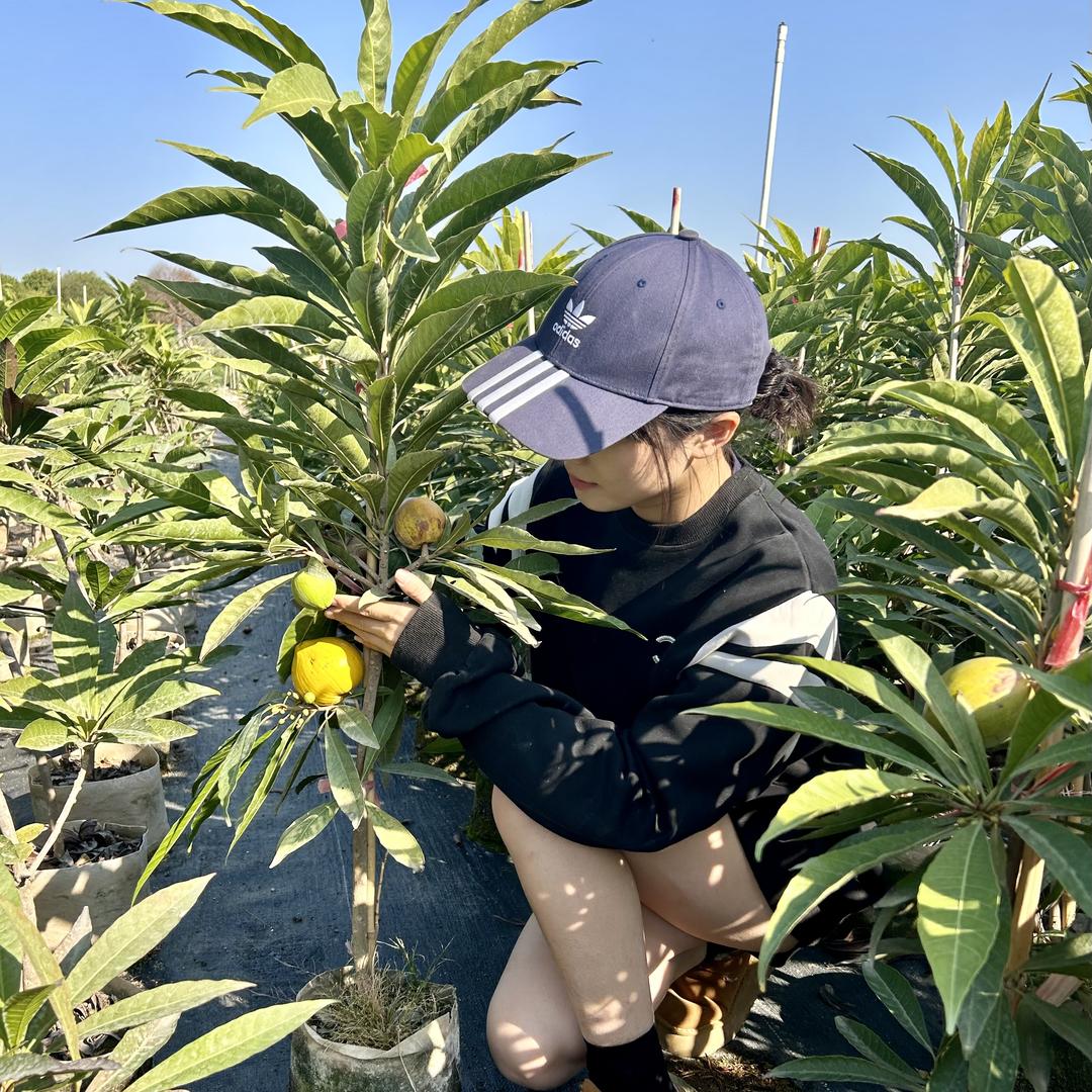源发果树苗木专营店