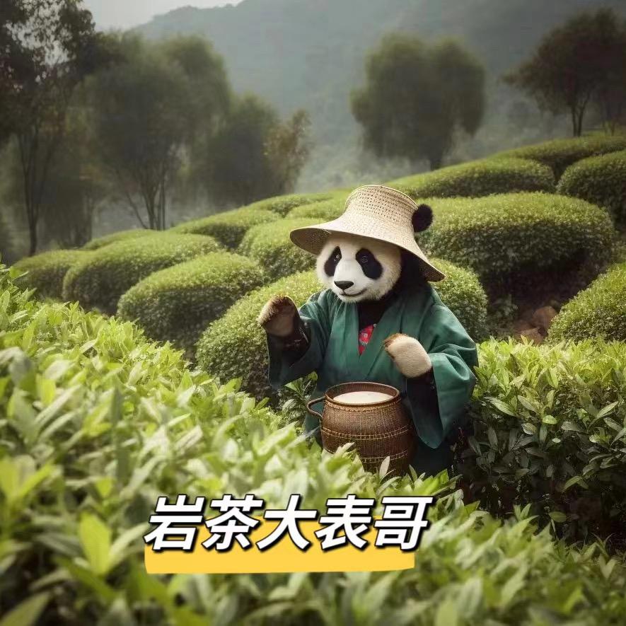 品牌岩茶VIP