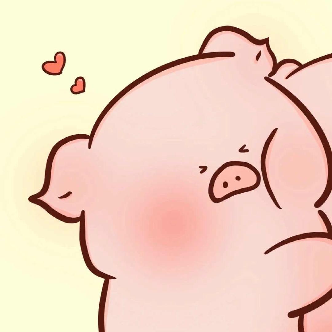 🐷🐷