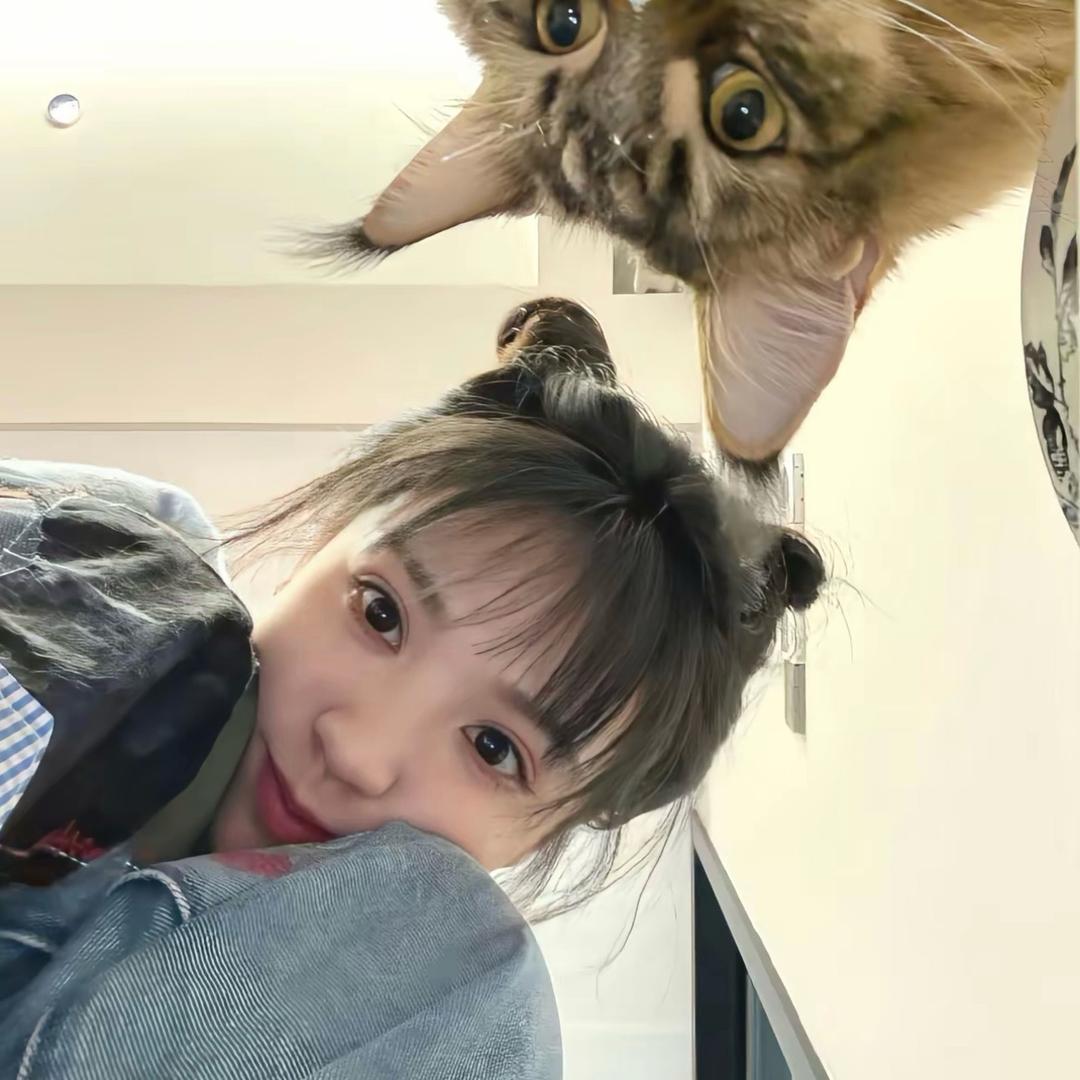 心心（直播服务）