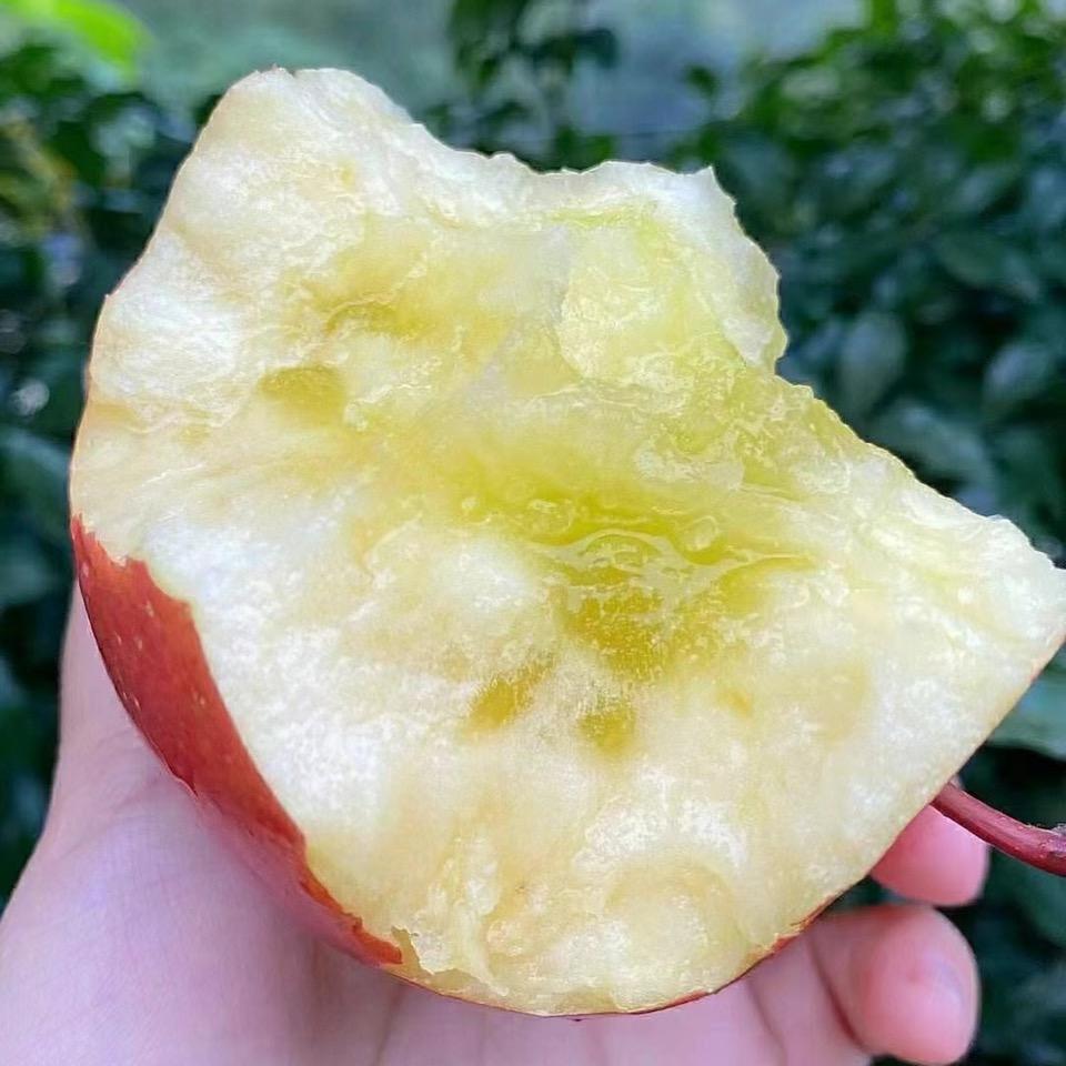 显眼文不显眼