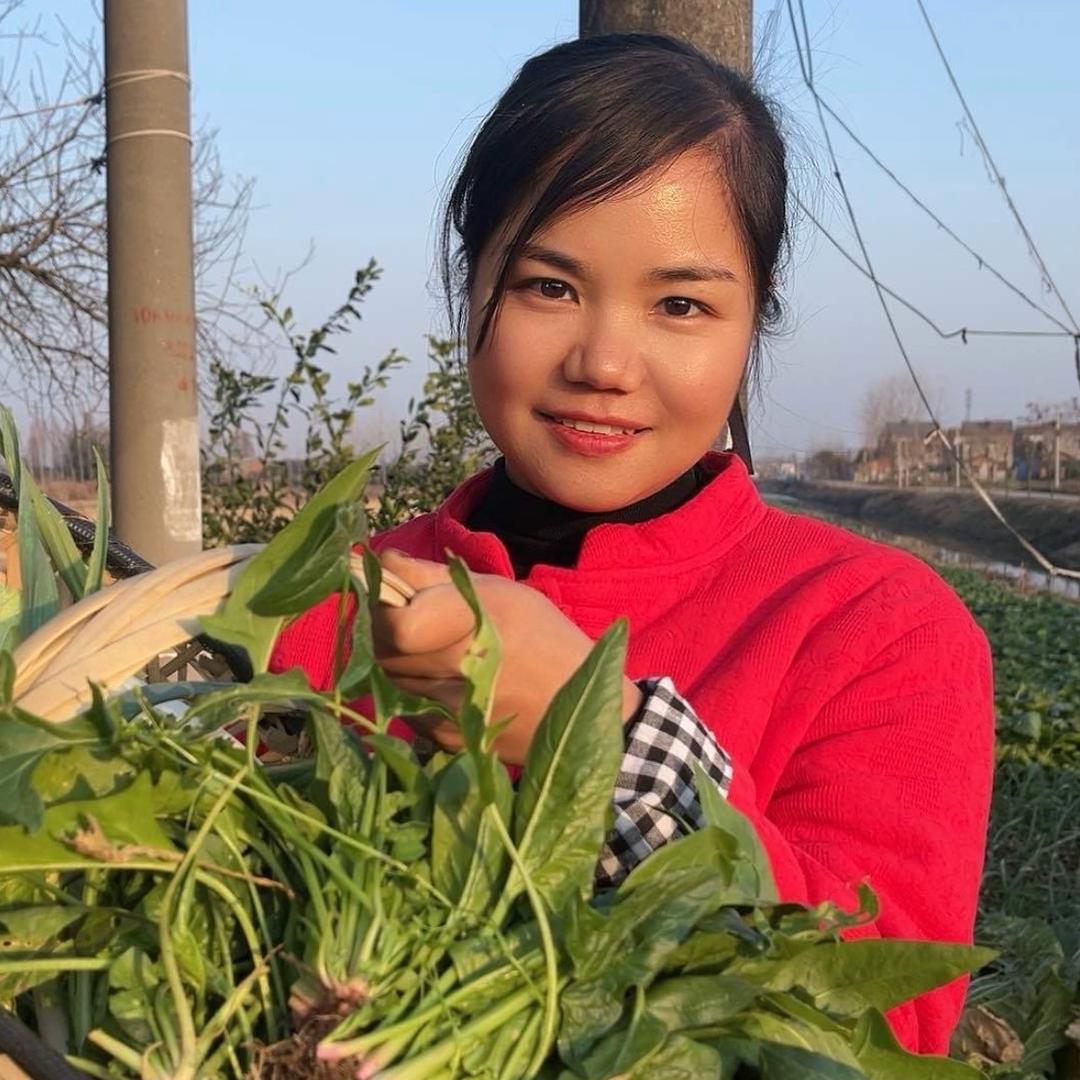 吴鑫的乡村生活