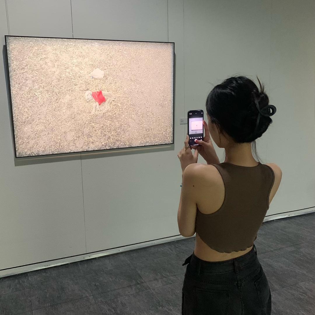 我只想睡个好觉.