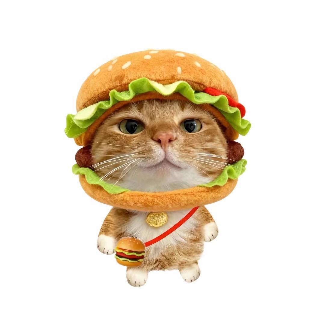 汉堡包🍔🍔