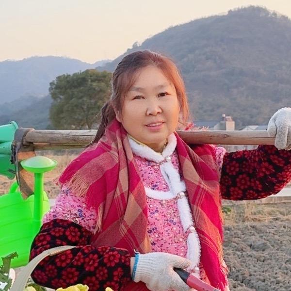 陈红姐