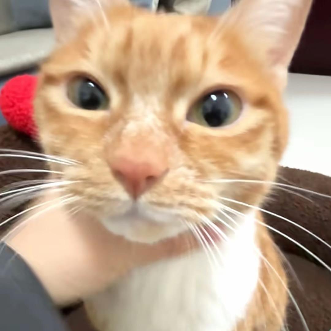 爱看风景不爱看美女