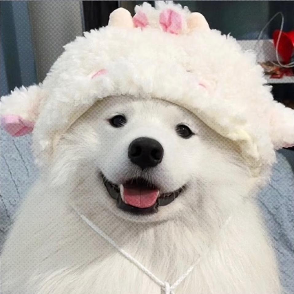 苹果佳儿.