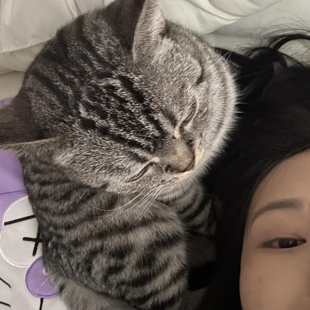 费列罗罗罗罗罗罗