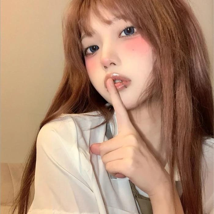 沙伊德格小狗